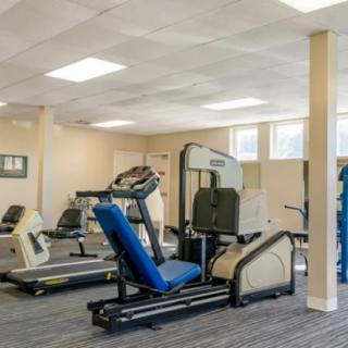A spacious gym with various exercise machines and treadmills.