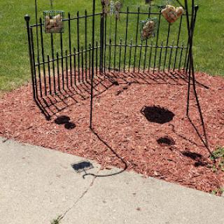 A decorative garden fence casting interesting shadows on the red mulch.