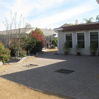 A backyard with a paved area and various plants and trees surrounding a house.