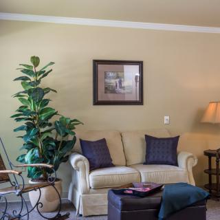 A cozy living room with a sofa, indoor plant, and framed artwork on the wall.
