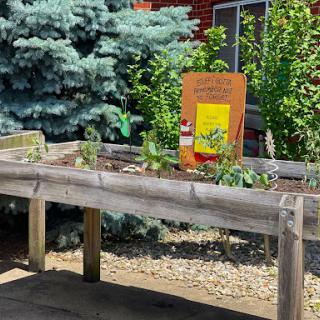 A sunny garden with a raised bed showcasing various plants.