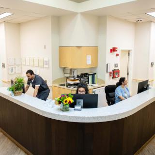 Employees working at the reception desk in an office environment.
