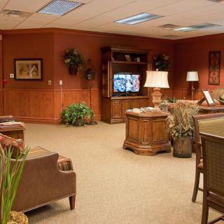A cozy living room with comfortable seating, a television, decorative plants, and warm lighting.