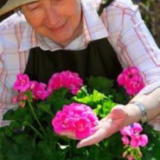 Caring Outreach for Seniors