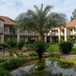 A serene courtyard featuring a palm tree, a pond, and surrounding garden within a residential building complex.