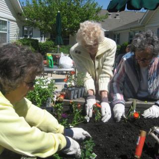 Citadel Estates-Hazel Crest