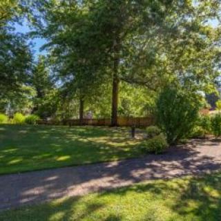 A serene garden with lush greenery and dappled sunlight.