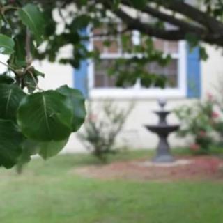 A serene garden scene featuring a leafy foreground and a fountain in front of a window.