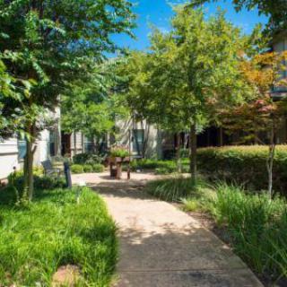 A peaceful garden pathway surrounded by lush greenery and trees.
