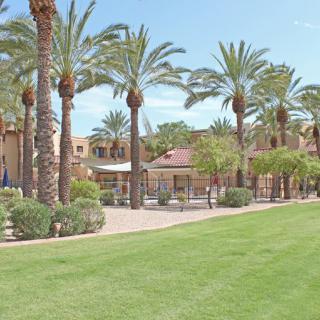A scenic view of palm trees aligned along a grassy lawn with buildings in the background under a clear sky.