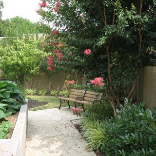 A serene garden with a wooden bench, surrounded by greenery and blooming flowers.