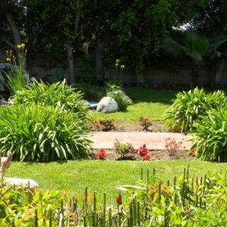 A lush garden with a variety of plants and a well-maintained lawn.
