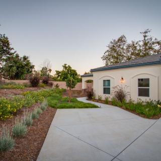 A modern house with a landscaped garden and driveway.