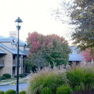 A serene view of an apartment complex surrounded by colorful fall foliage.
