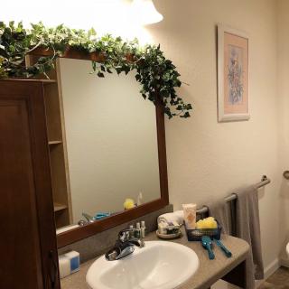 A bathroom with a sink and mirror, decorated with plants and toiletries.