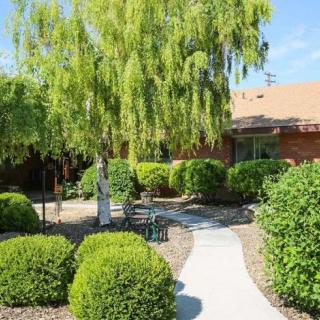 A beautifully landscaped garden with a winding walkway and neatly trimmed bushes.