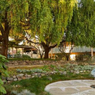 A serene garden landscape with lush trees and greenery.