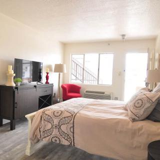 A modern, minimalist bedroom with a comfortable bed, TV, and bright natural light.