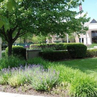 A serene garden area featuring lush greenery and colorful plants.