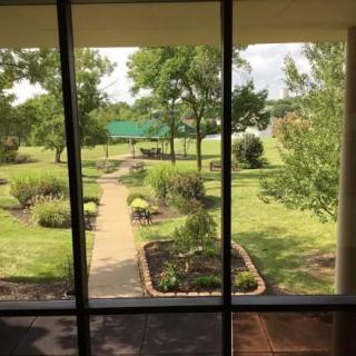 A picturesque garden view through large windows, featuring a pathway surrounded by lush greenery and trees.