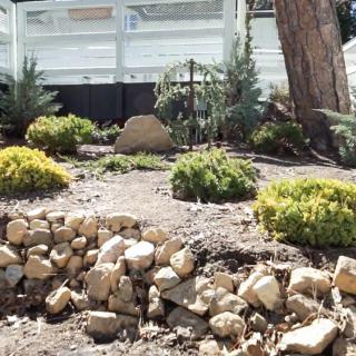 A landscaped garden featuring rocks and various plants in front of a building.