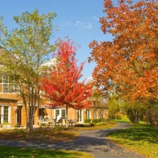 A serene autumn scene with vibrant red and orange leaves surrounding a building and pathway.