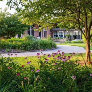 A tranquil garden scene featuring vibrant flowers, lush greenery, and a winding pathway leading to a modern building.