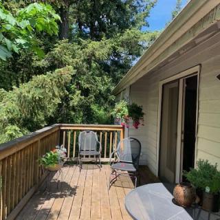 A cozy outdoor deck with seating, surrounded by lush greenery and plants.