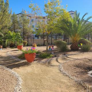 A beautifully landscaped garden with palm trees and potted plants on a sunny day, set in front of an apartment building.