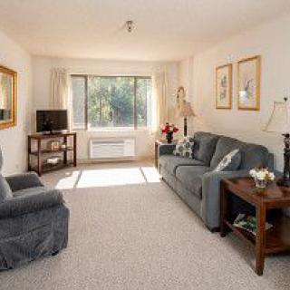 A cozy living room with a comfortable sofa, armchair, and a window letting in natural light.