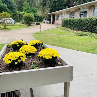 A vibrant display of yellow flowers in a garden bed, complementing the greenery and home in the background.