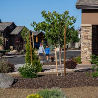 A suburban neighborhood with people walking on a sunny day.