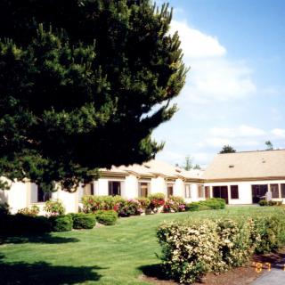 A house with a large lawn, surrounded by trees and shrubs on a sunny day.