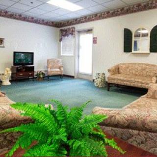 A cozy and inviting waiting room featuring comfortable sofas, a television, and greenery.