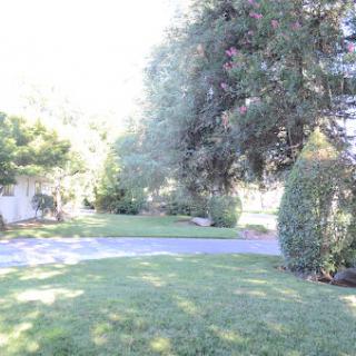 A serene view of a garden with lush grass and trees under bright sunlight.