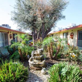 A beautifully landscaped courtyard featuring a central fountain surrounded by various plants and greenery.