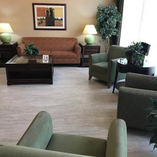A cozy and inviting living room setup with comfortable seating and decorative plants.