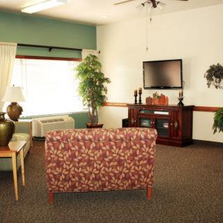A cozy living room with a floral sofa, television on a wooden stand, and indoor plants.