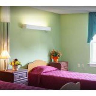 A cozy bedroom with twin beds and soft green walls, decorated with floral arrangements and a table lamp.