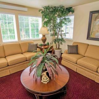A cozy living room featuring two beige sofas, a wooden coffee table with a decorative plant, and a large potted plant in the corner. Natural light streams through the windows, highlighting a lamp and artwork on the walls.