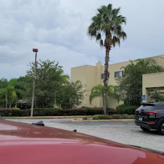 A view of a parking lot featuring palm trees and a cloudy sky.