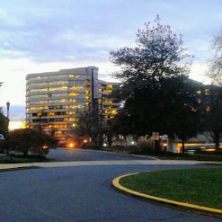 A modern building illuminated during the evening, surrounded by greenery and a winding path.