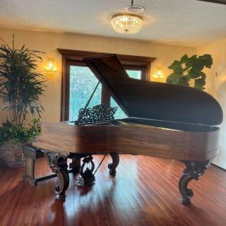 Elegant grand piano in a sunlit living room with wooden floors and house plants.