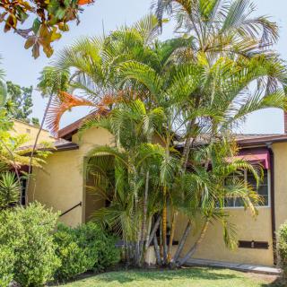 A charming house surrounded by lush palm trees and a well-kept front yard.