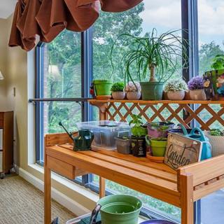 A cozy indoor gardening space with a variety of plants placed on a wooden stand by the window.