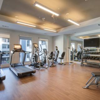 A modern gym equipped with treadmills and other cardio machines.