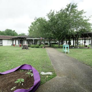 A serene outdoor community space featuring a pathway leading through a garden area with greenery and buildings in the background.