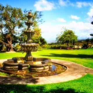 A beautiful garden with a decorative fountain surrounded by lush greenery and trees under a bright blue sky.