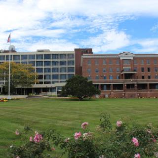 A view of a modern and historic building against a blue sky, surrounded by green grass and blooming flowers.