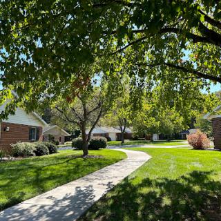 A serene residential pathway lined with trees and lush green grass on a sunny day.